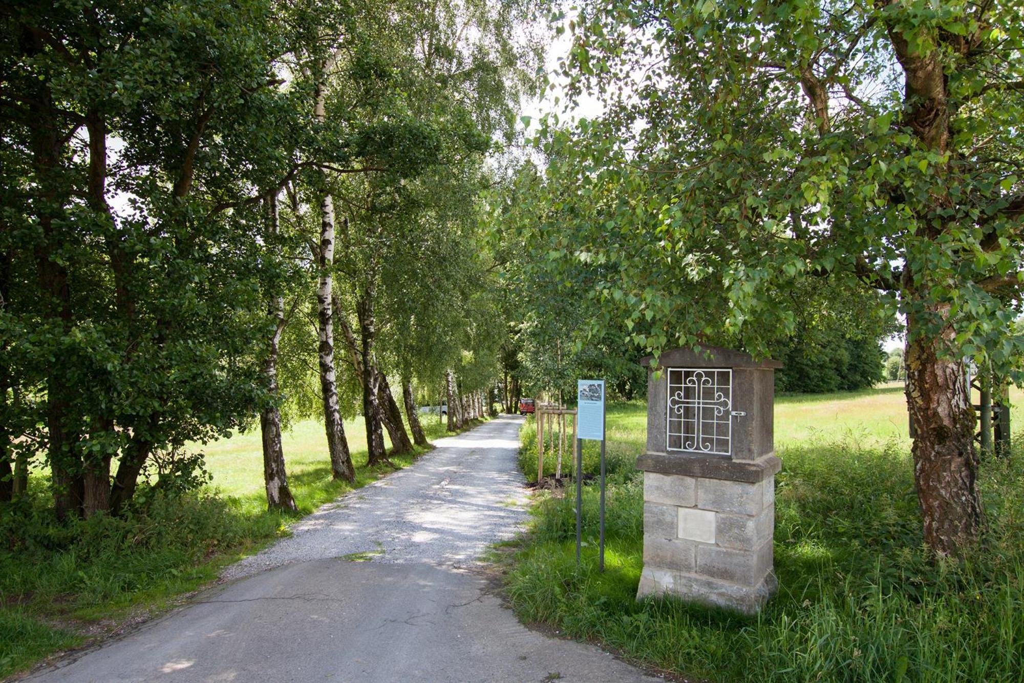Michels Muehle - Wieder Land Sehen Brilon Exterior photo